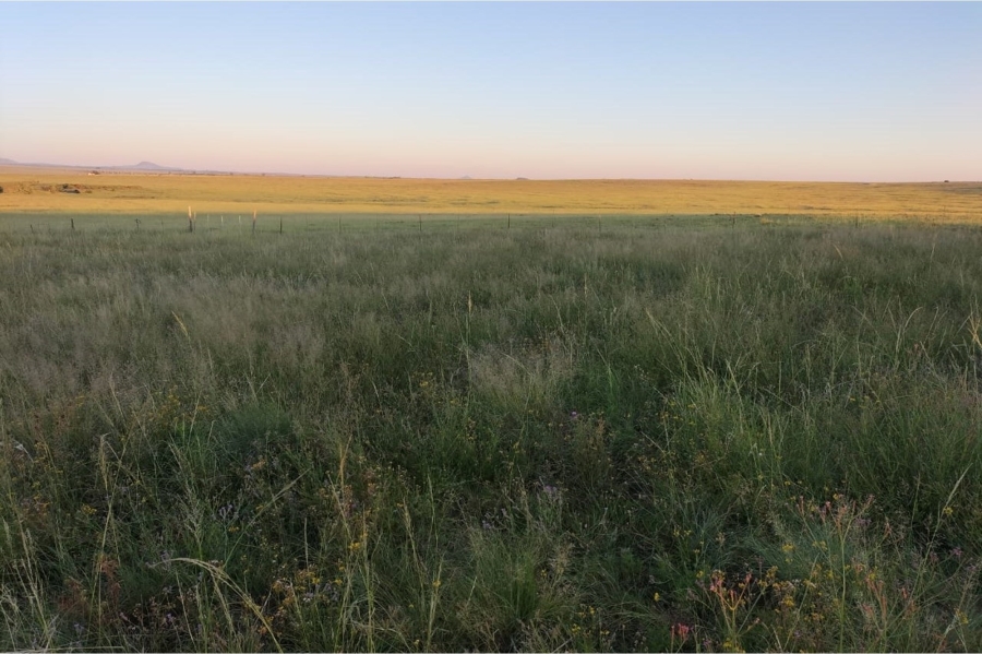 4 Bedroom Property for Sale in Ladybrand Rural Free State